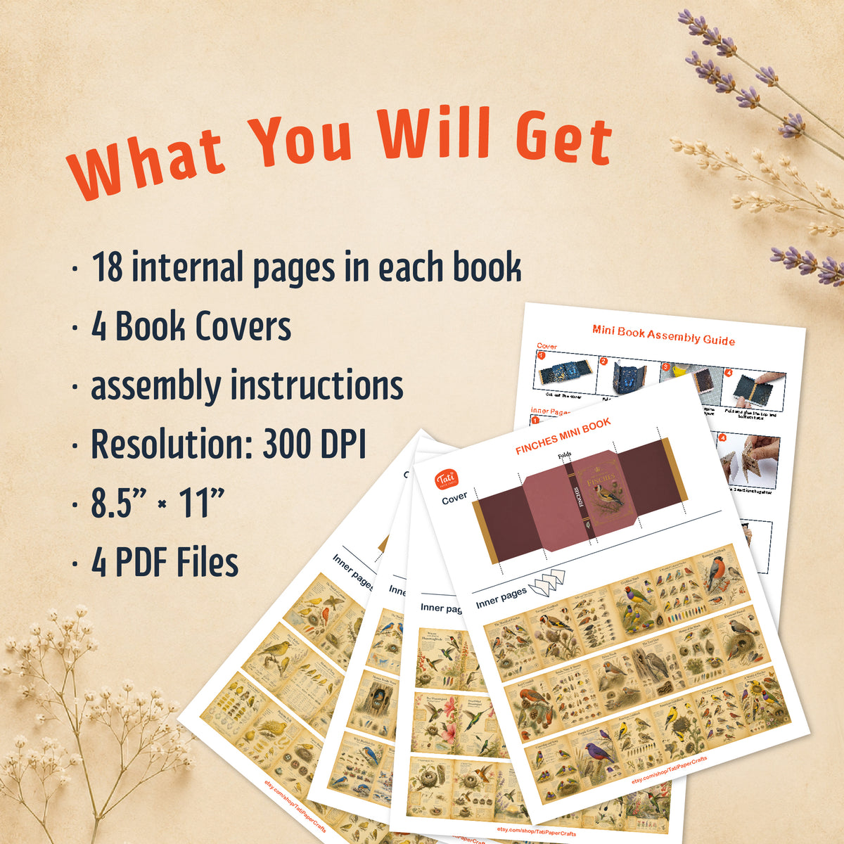 Birds Printable Mini Books Collection