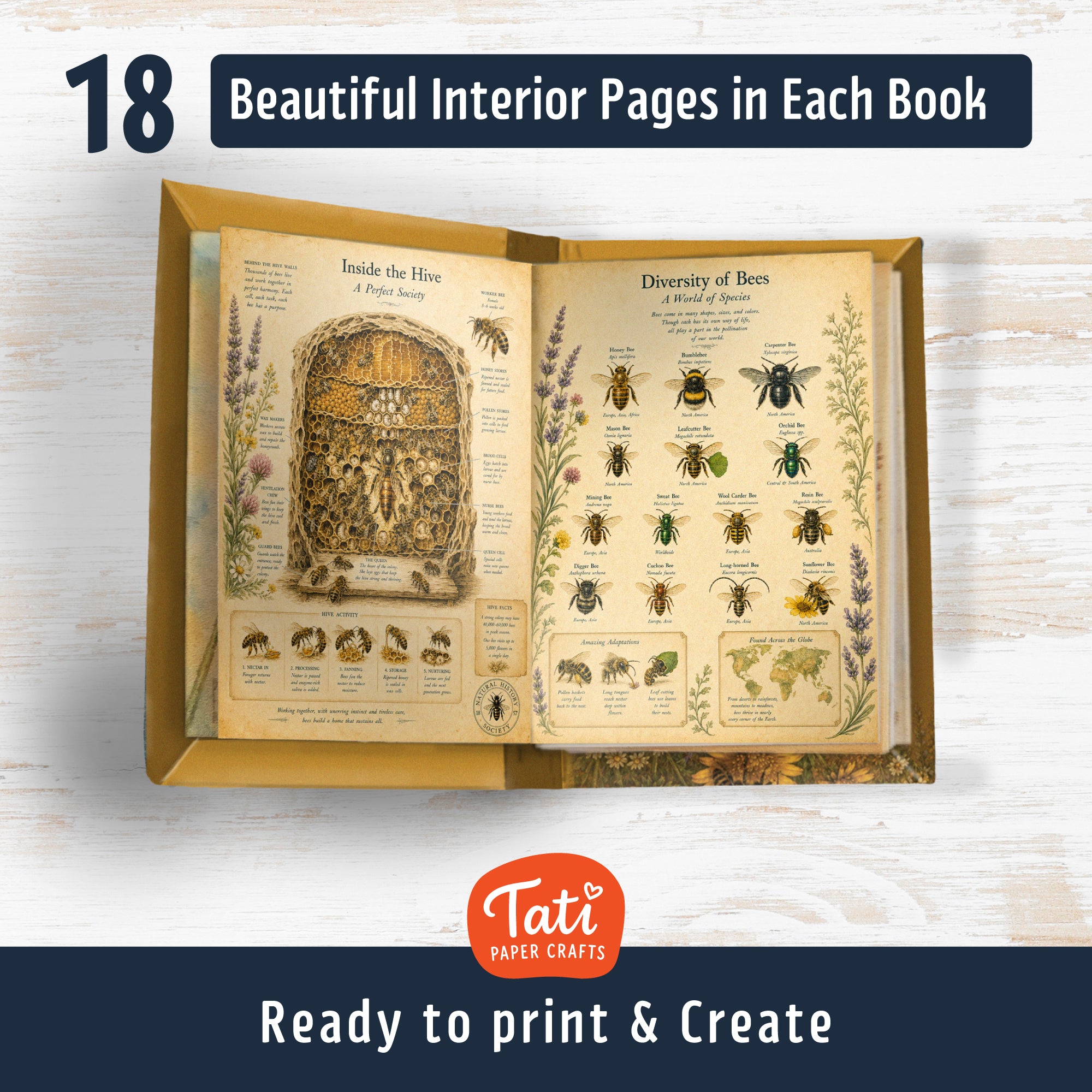 Insects Printable Mini Book Collection