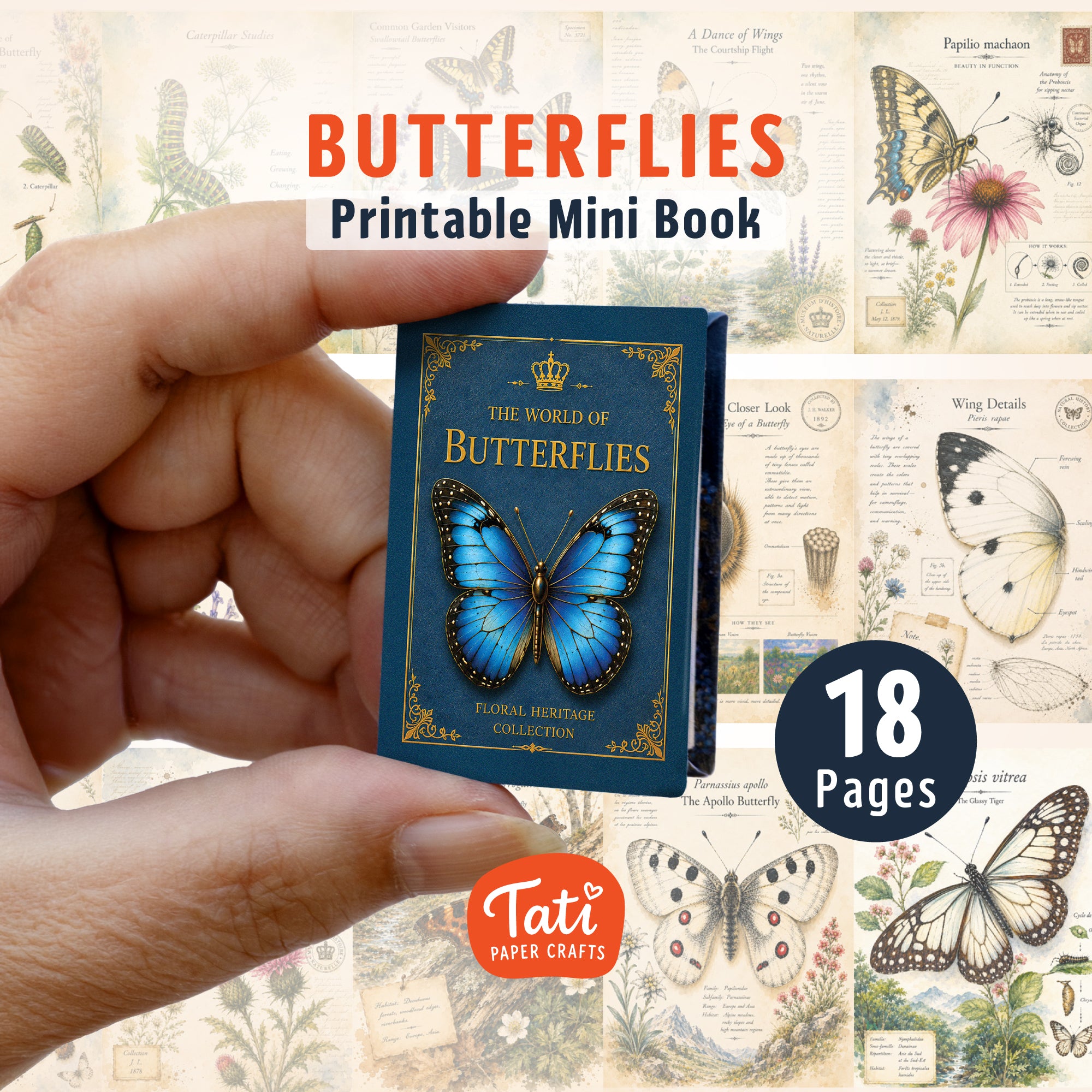 Insects Printable Mini Book Collection