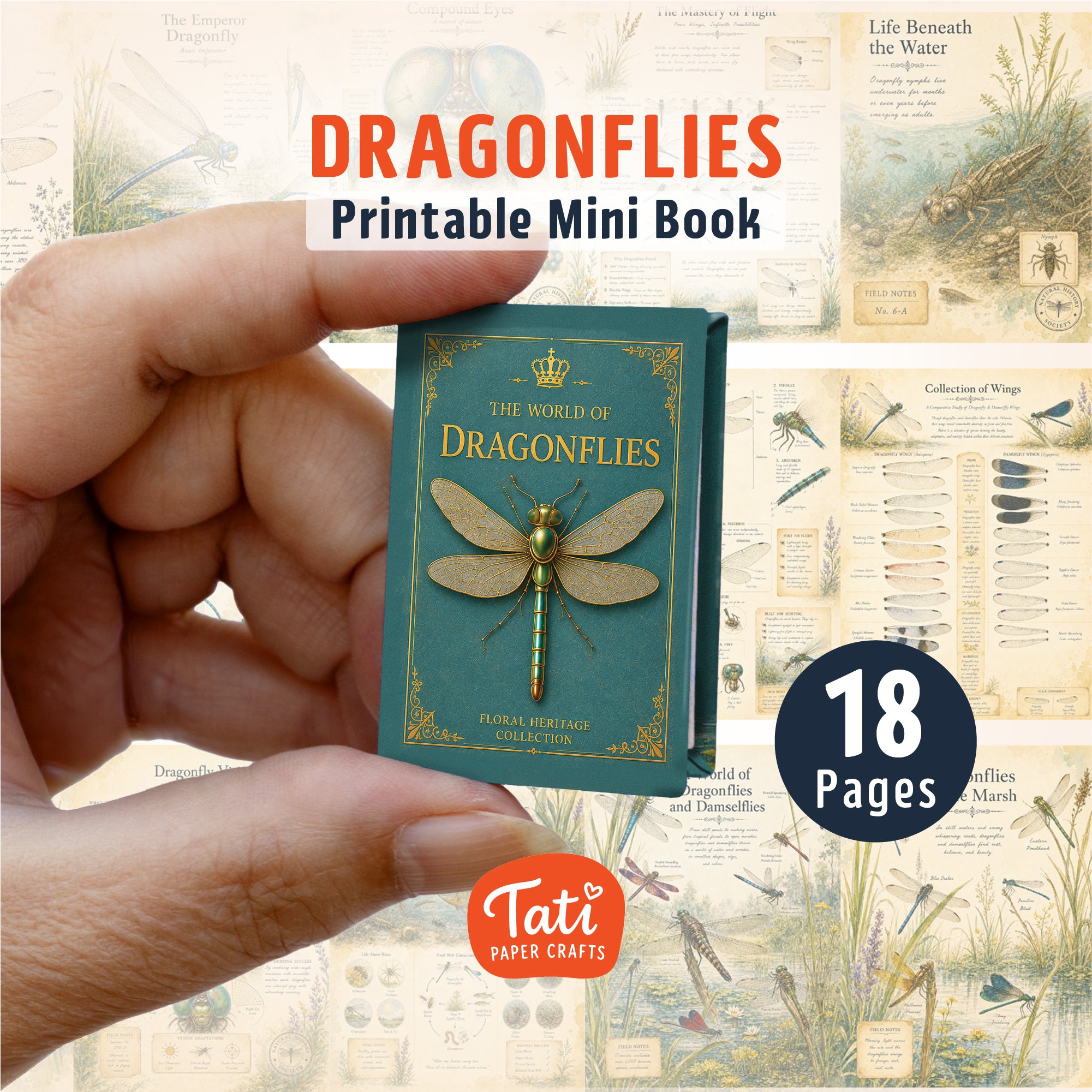 Insects Printable Mini Book Collection