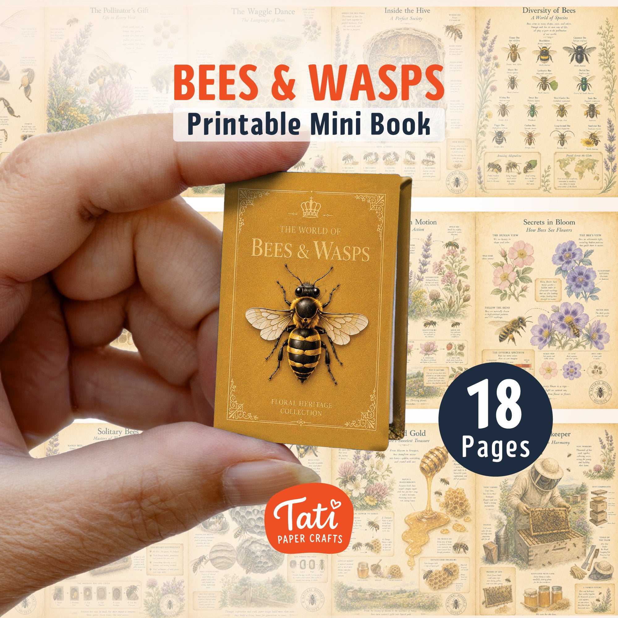 Insects Printable Mini Book Collection