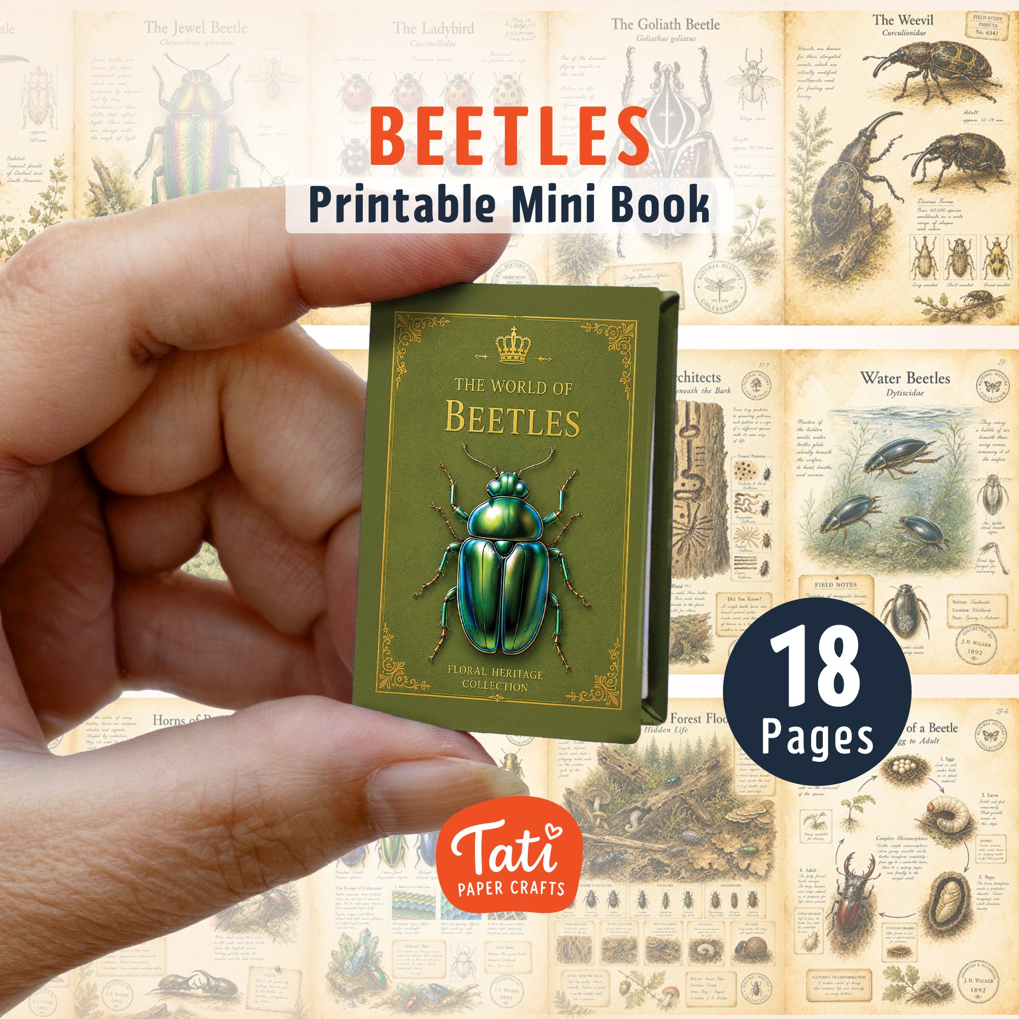 Insects Printable Mini Book Collection