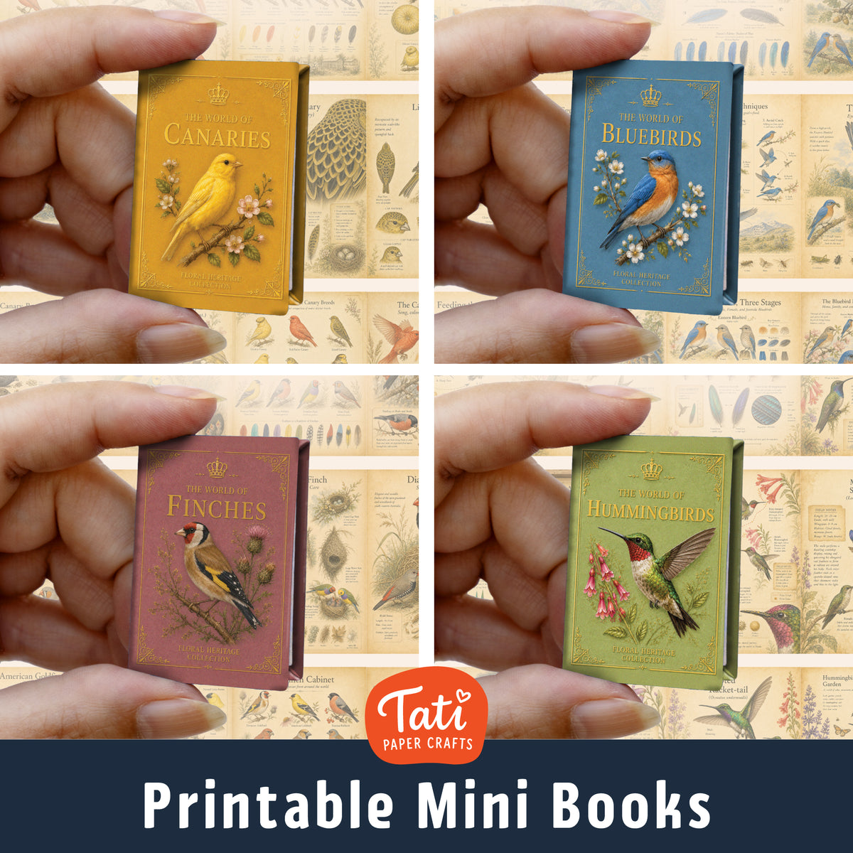 Birds Printable Mini Books Collection