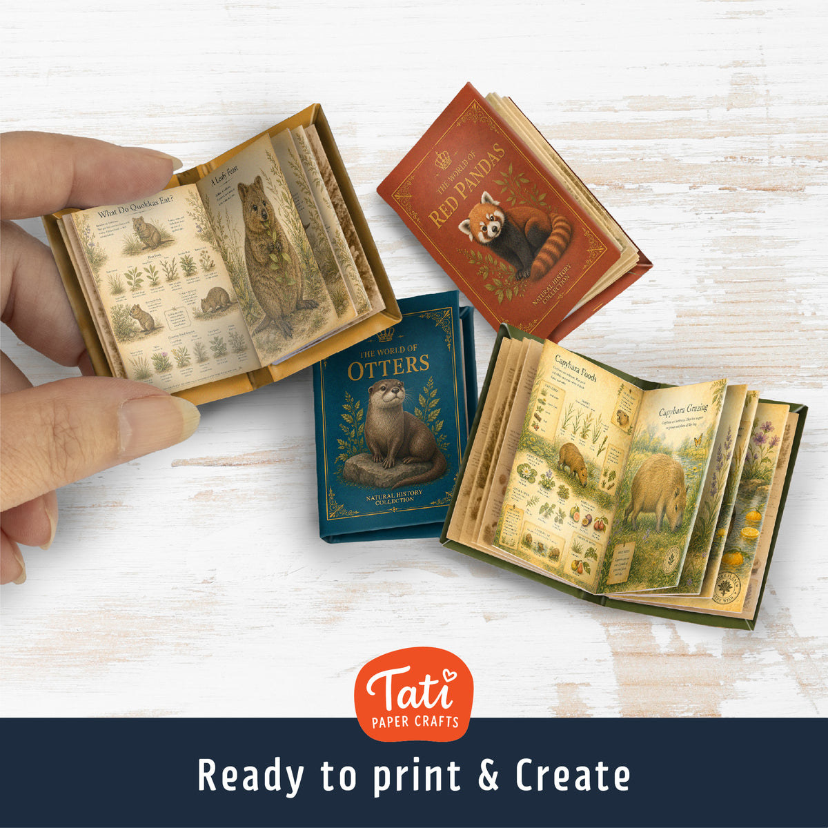Adorable Animals Printable Mini Books Collection