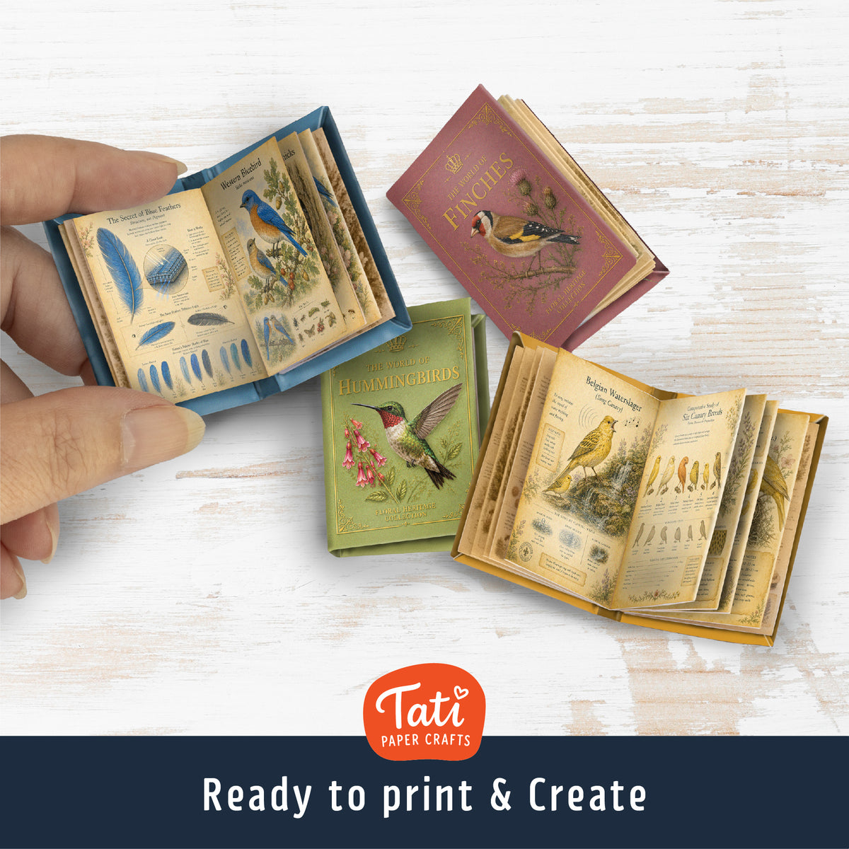Birds Printable Mini Books Collection