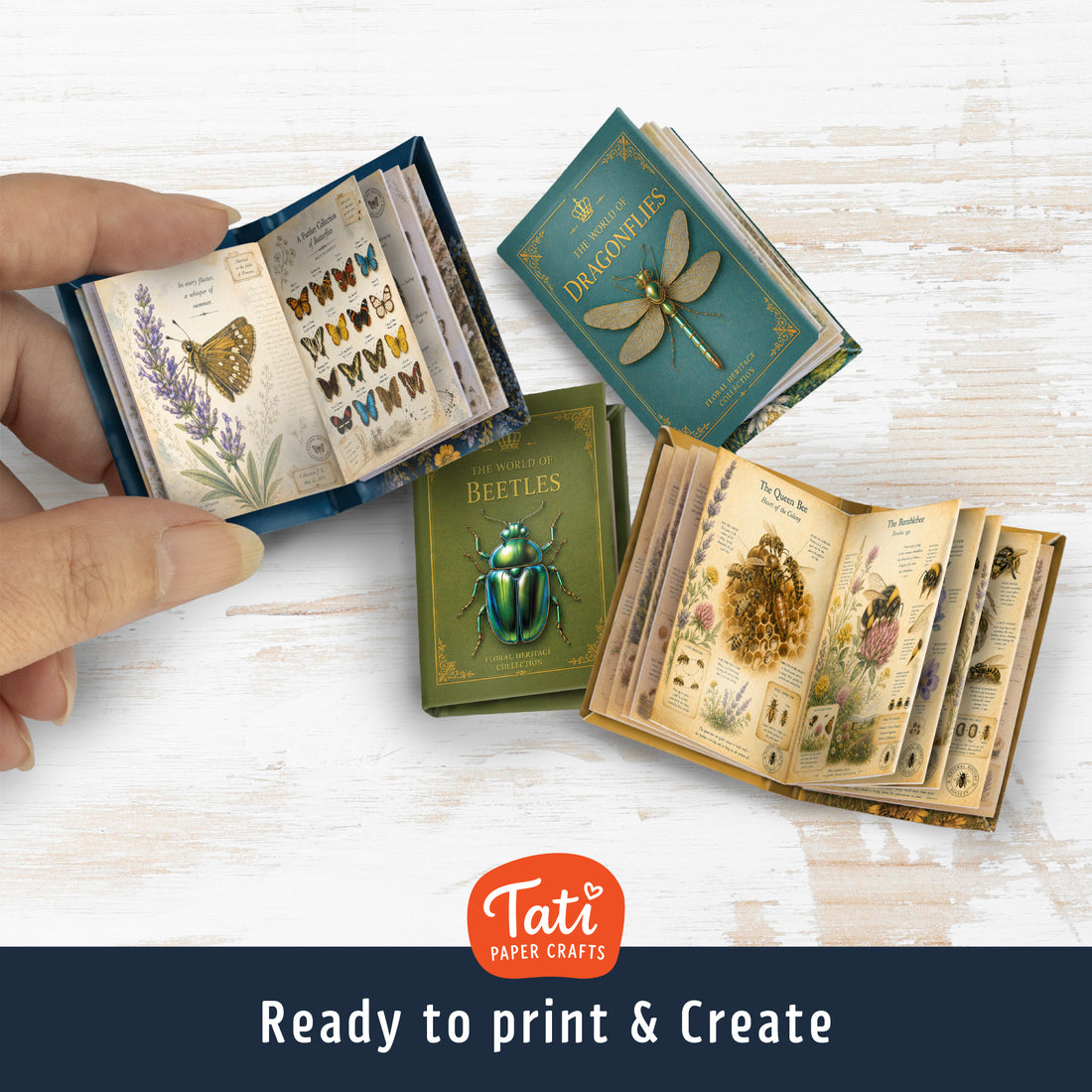 Insects Printable Mini Book Collection