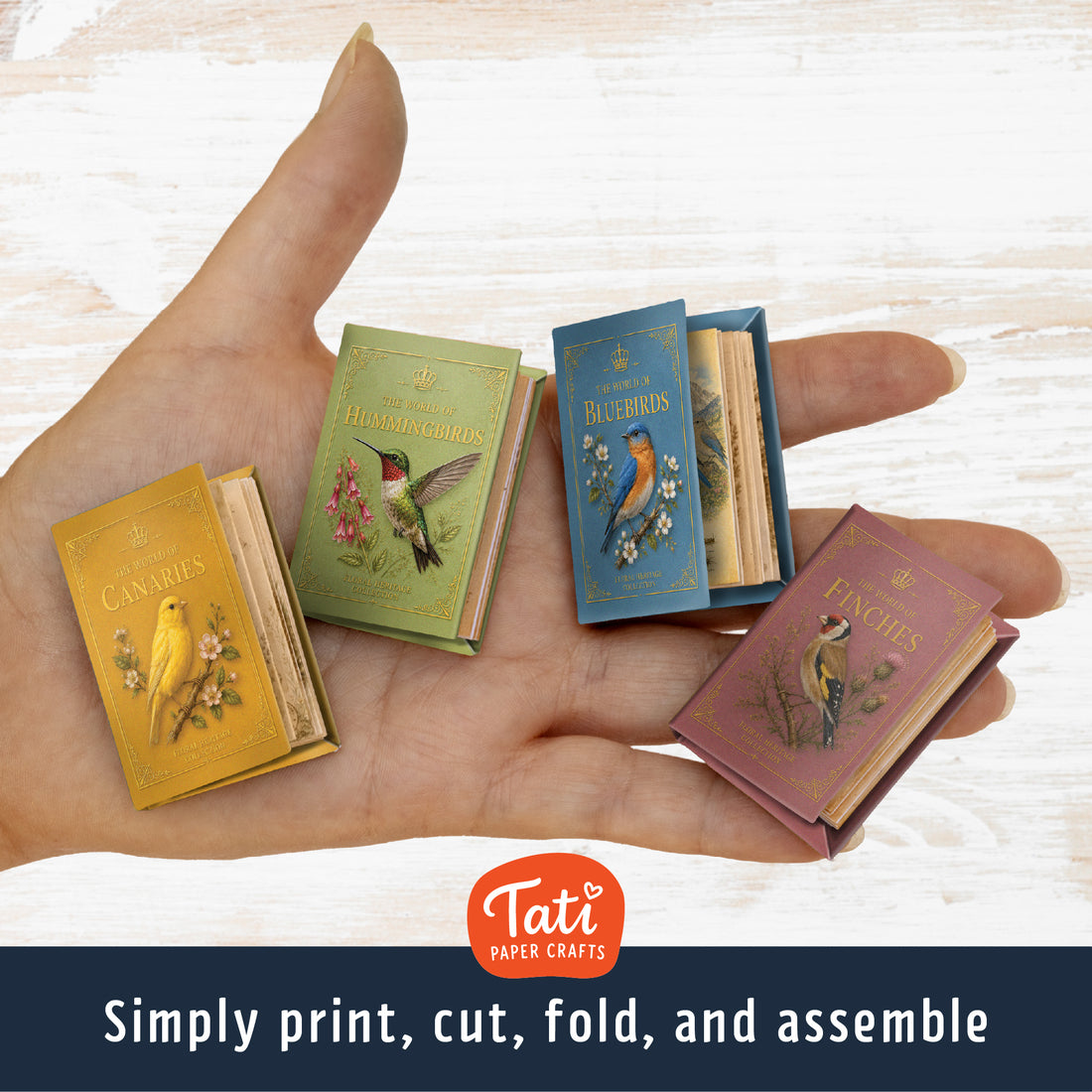 Birds Printable Mini Books Collection