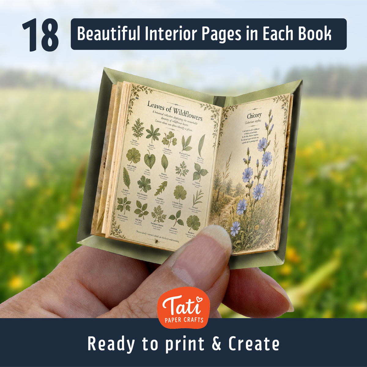 Wildflowers Printable Mini Books Collection