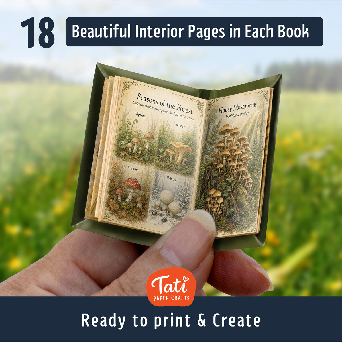 Mushrooms Printable Mini Books Collection