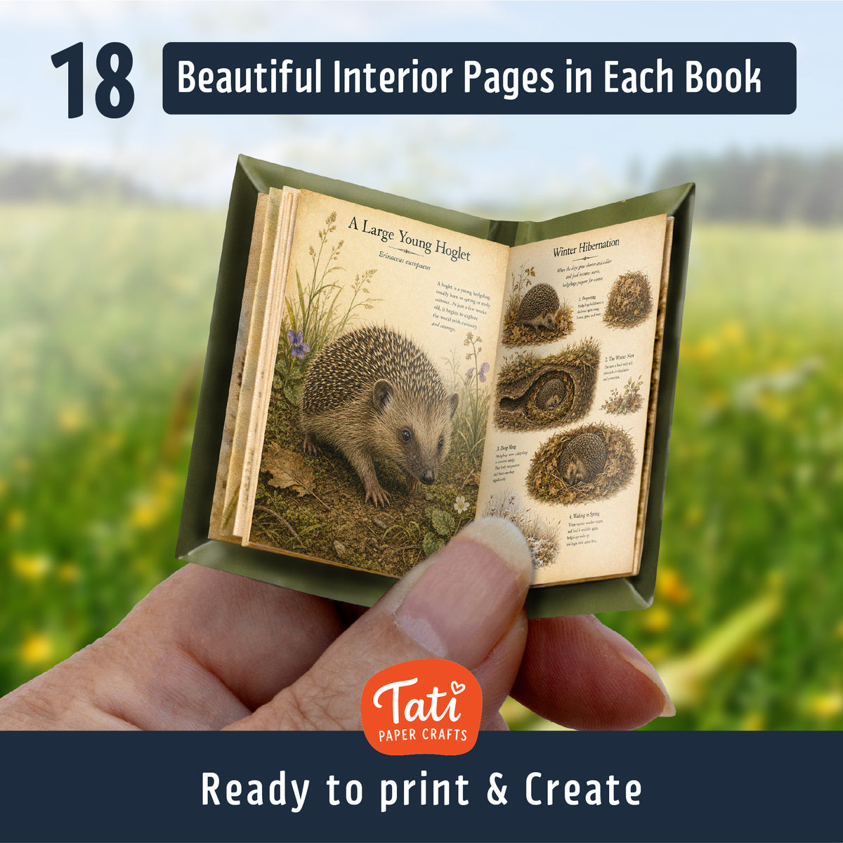 Woodland Animals Printable Mini Books Collection