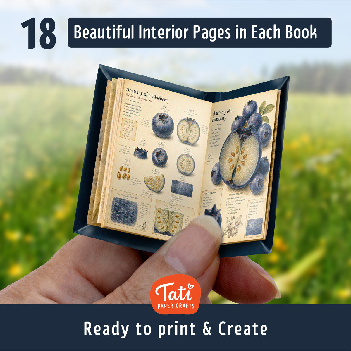 Berries Printable Mini Books Collection