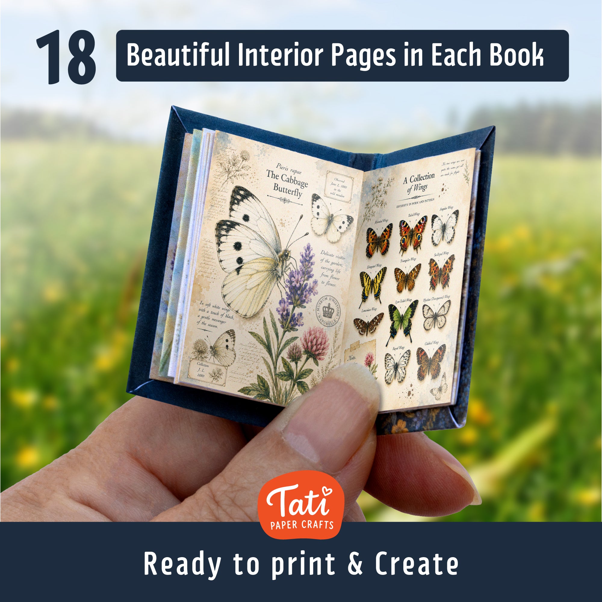 Insects Printable Mini Book Collection