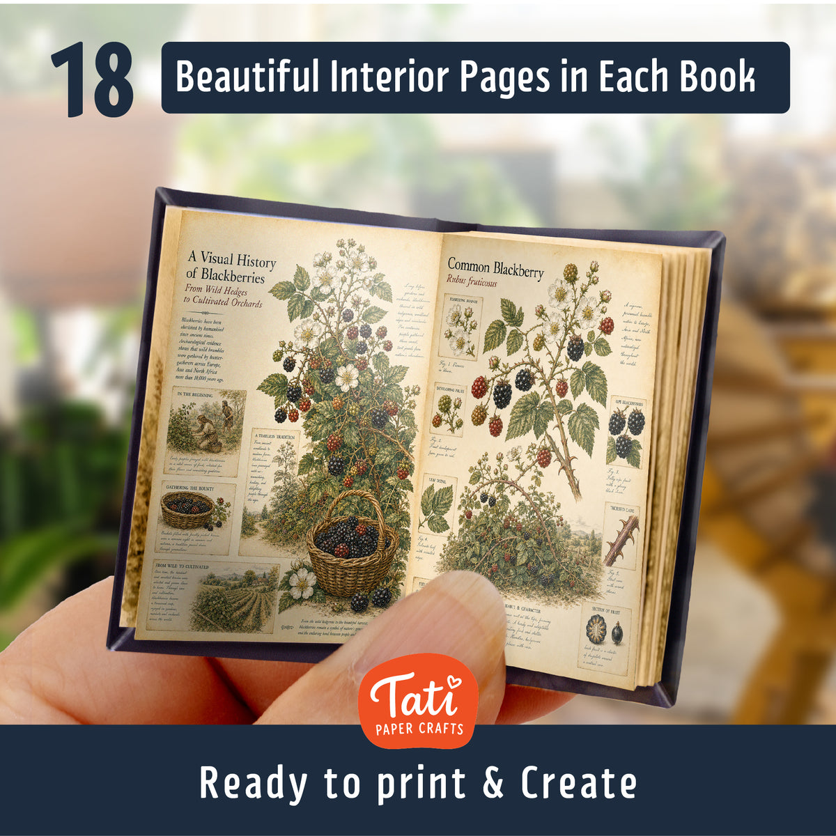 Berries Printable Mini Books Collection