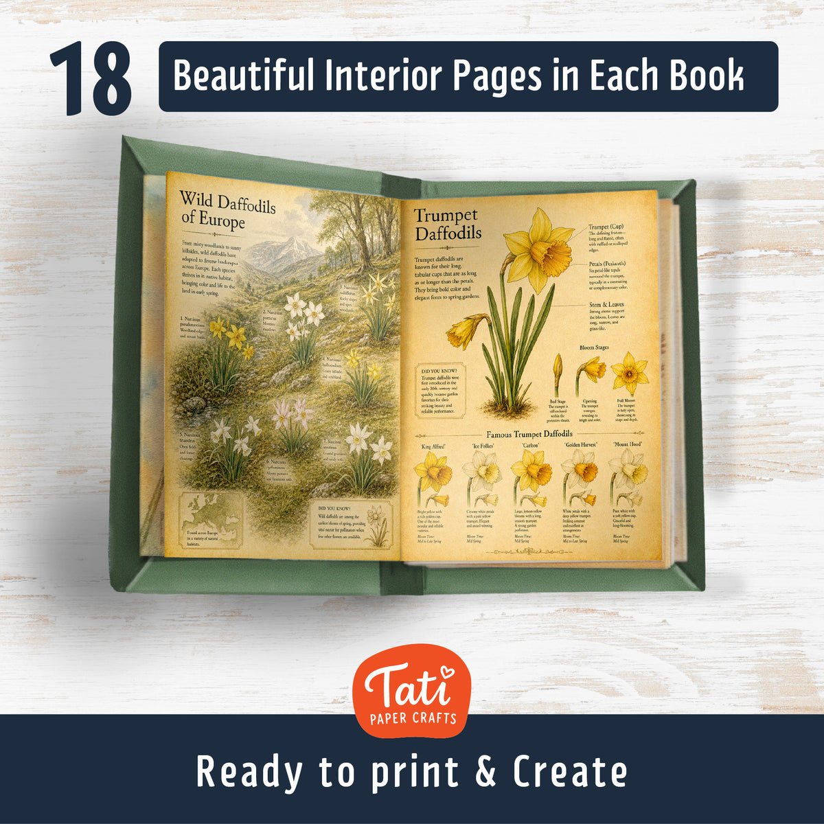 Adorable Animals Printable Mini Books Collection