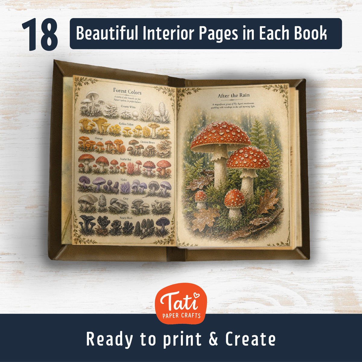 Mushrooms Printable Mini Books Collection