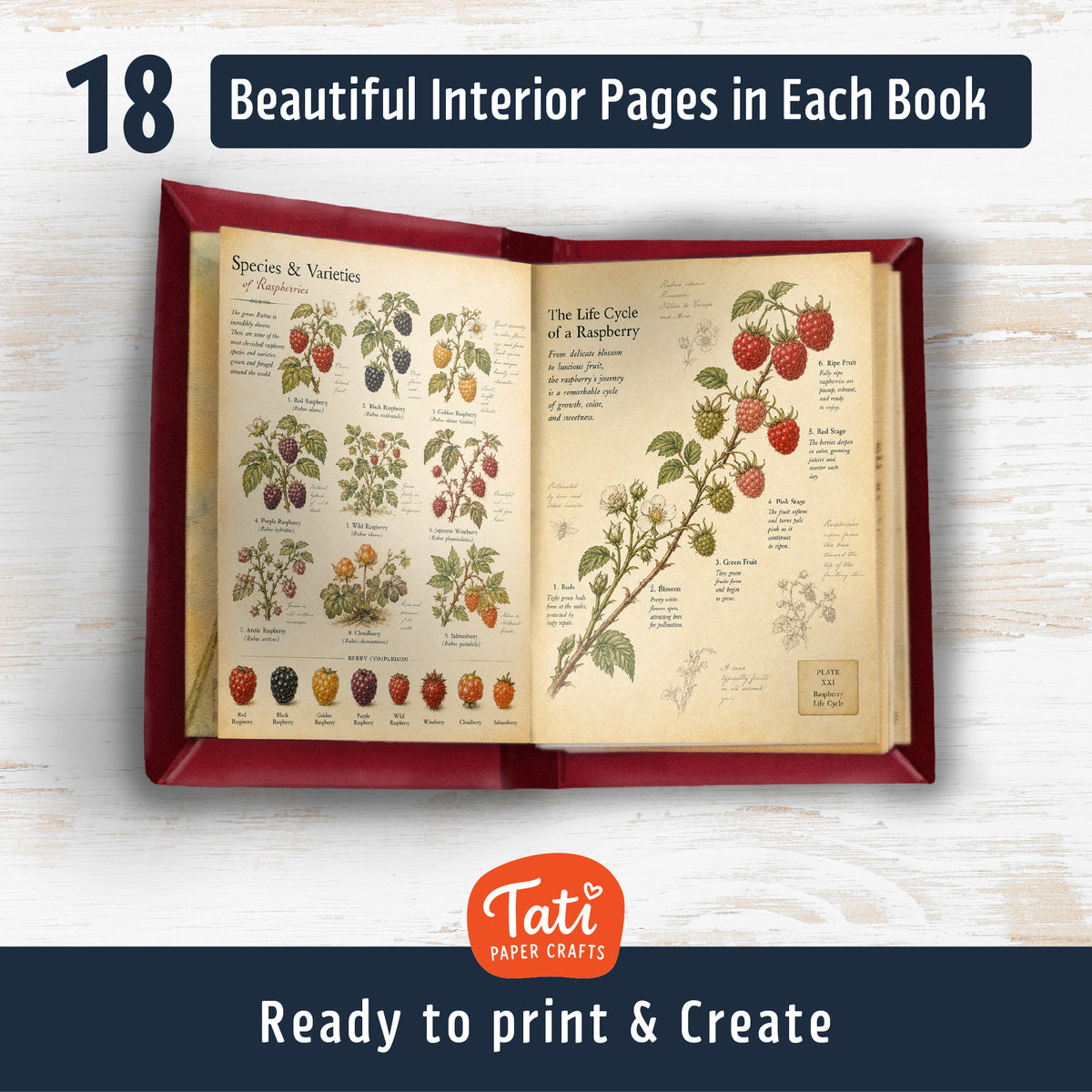 Berries Printable Mini Books Collection
