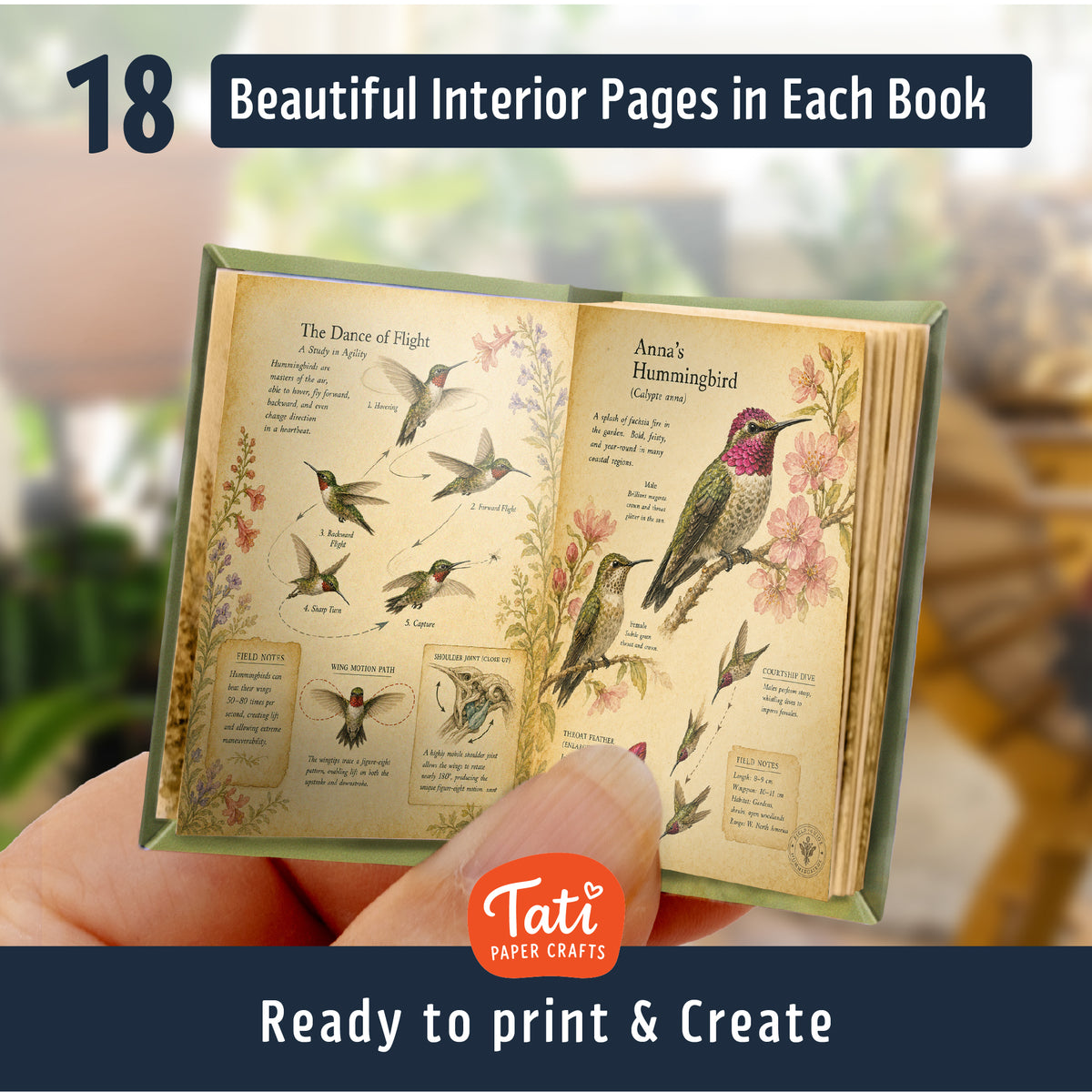 Birds Printable Mini Books Collection