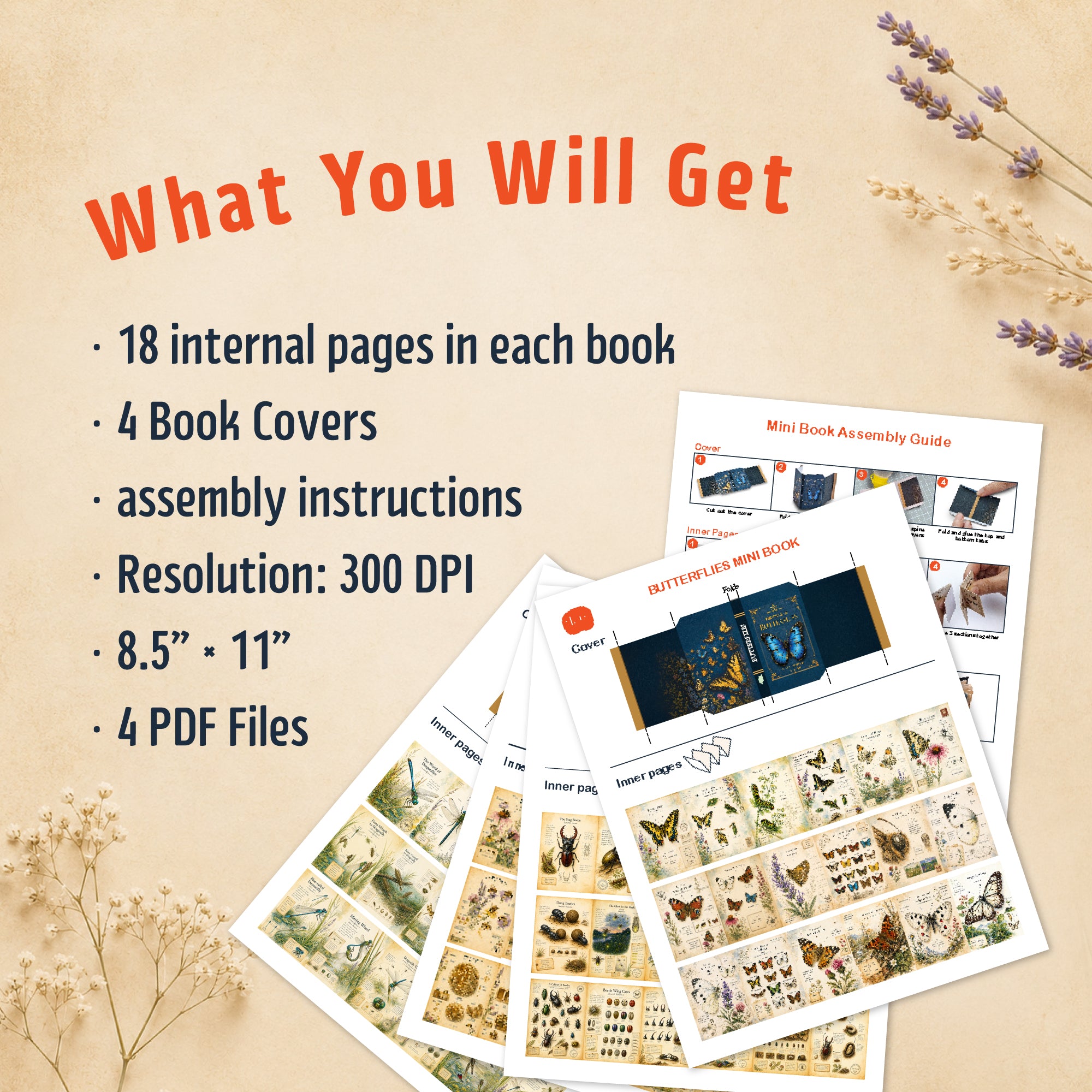 Insects Printable Mini Book Collection