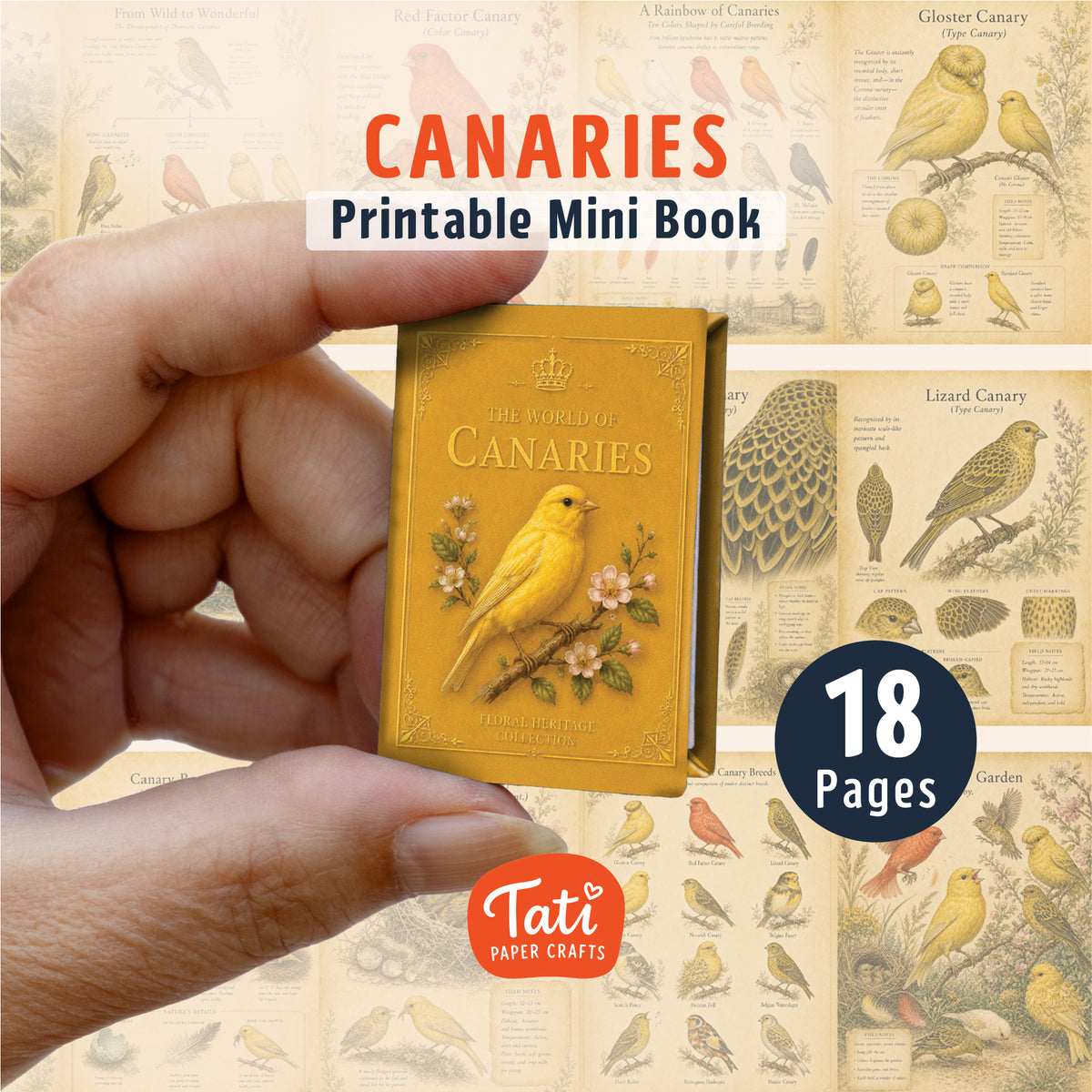 Birds Printable Mini Books Collection
