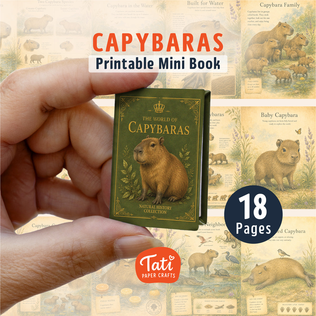 Adorable Animals Printable Mini Books Collection