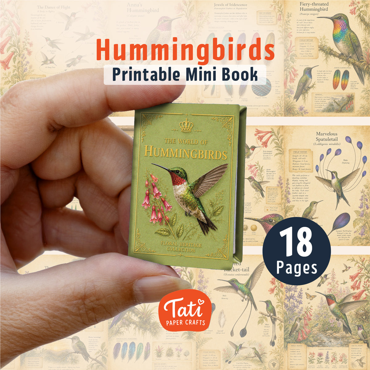 Birds Printable Mini Books Collection