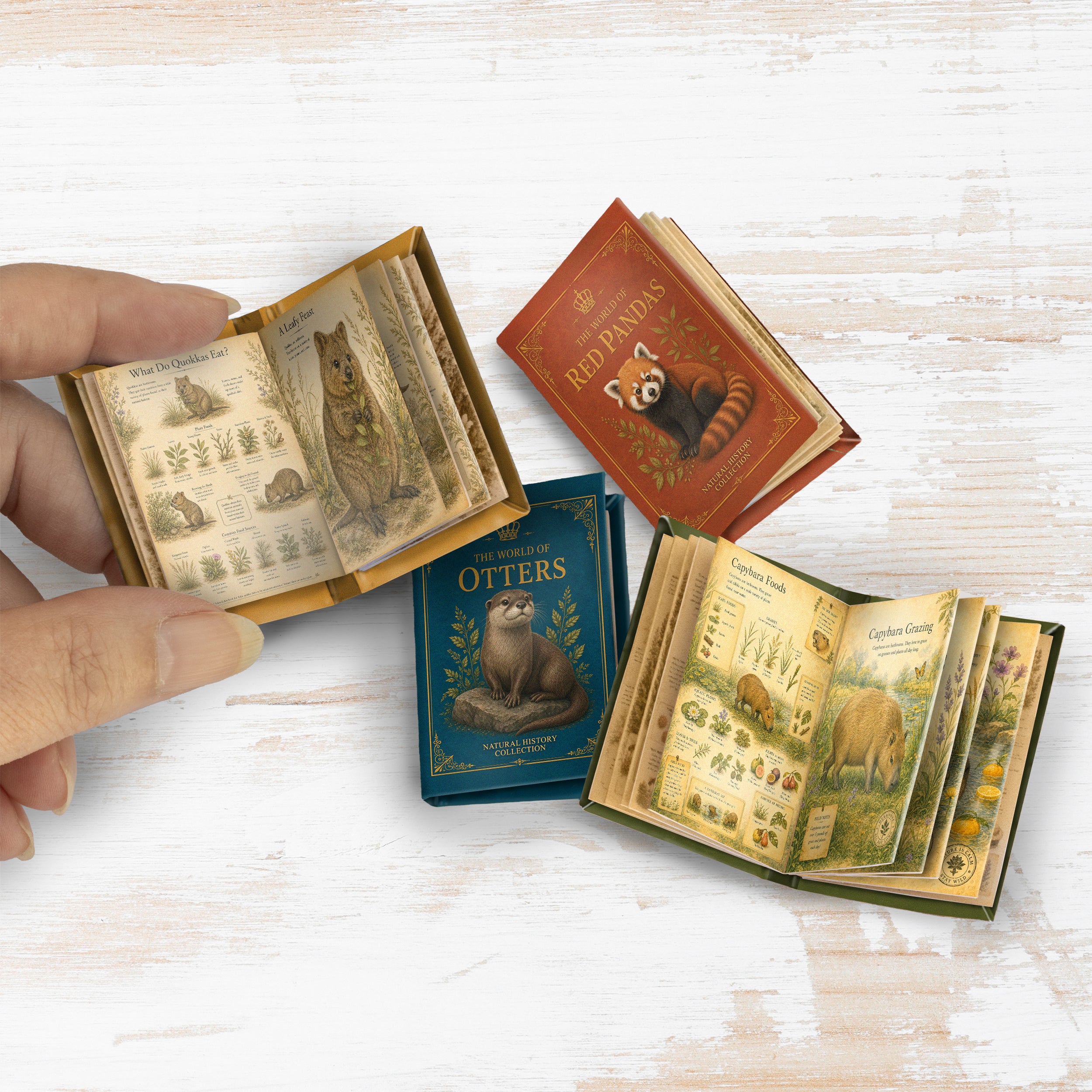 Adorable Animals Printable Mini Book Collection