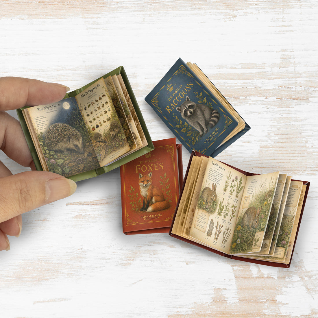 Woodland Animals Printable Mini Book Collection