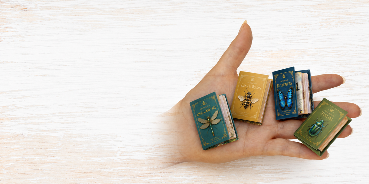 Crafted for Creative Minds
